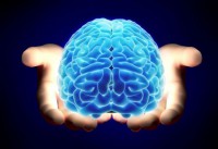 /album/galeria-de-fotos-pagina-inicial/stupid-615x422-jpg/